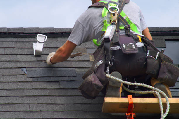 Best Shingle Roofing Installation  in Wacousta, MI