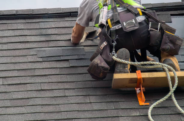 Professional Roofing Contractor in Wacousta, MI