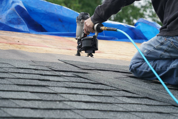 Best Residential Roofing Contractor  in Wacousta, MI