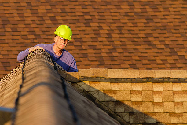 Best Roof Maintenance Services  in Wacousta, MI