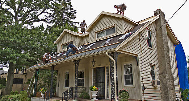 Best Flat Roof Repair Services  in Wacousta, MI