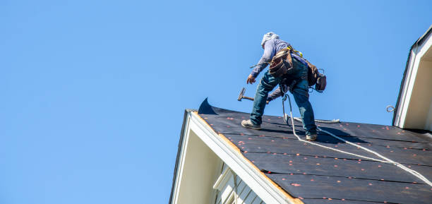 Best Roofing Contractors for Homes  in Wacousta, MI